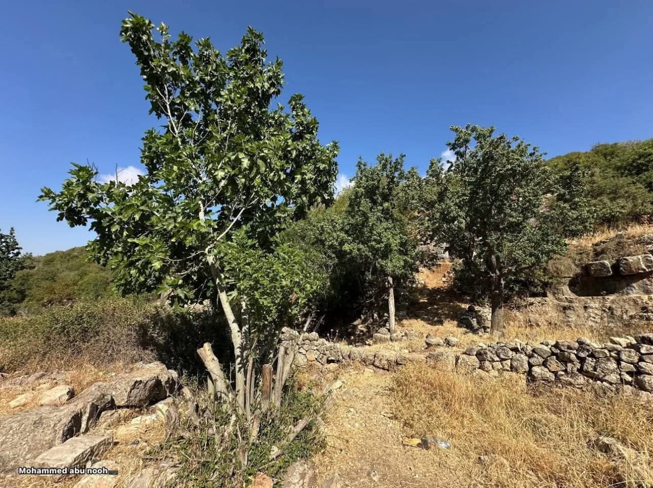 رام الله | موسوعة القرى الفلسطينية